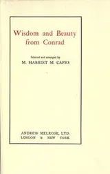 Cover of Wisdom and beauty from Conrad