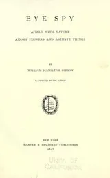 Cover of Eye spy