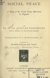 Cover of Social peace