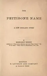 Cover of The Pettibone name
