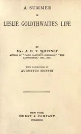 Cover of A summer in Leslie Goldthwaite's life