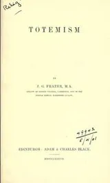 Cover of Totemism