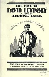 Cover of The rise of David Levinsky
