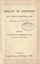 Cover of Essays in divinity