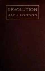 Cover of Revolution and Other Essays