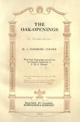 Cover of Oak Openings