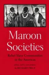 Cover of Maroon societies: rebel slave communities in the Americas