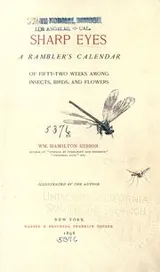 Cover of Sharp eyes