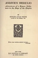 Cover of Andivius Hedulio