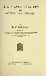 Cover of The silver shadow