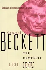 Cover of Samuel Beckett: the complete short prose, 1929-1989