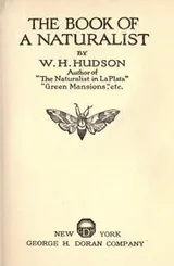 Cover of The book of a naturalist