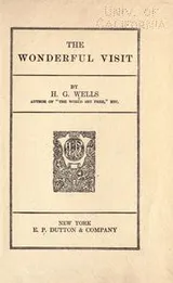 Cover of The wonderful visit