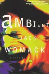 Cover of Ambient