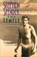 Cover of The Temple