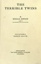 Cover of The terrible twins