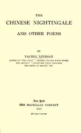 Cover of The Chinese nightingale