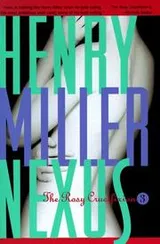 Cover of Nexus