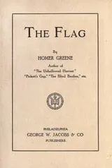 Cover of The flag