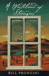 Cover of A Wasteland of Strangers