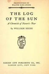 Cover of The log of the sun