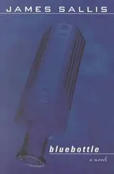 Cover of Bluebottle (Lew Griffin Mysteries)