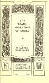 Cover of The transmigration of souls