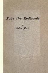 Cover of Save the Redwoods
