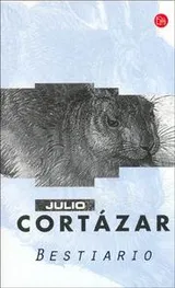 Cover of Bestiario