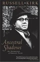 Cover of Ancestral Shadows