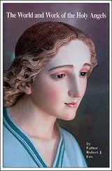 Cover of The World and Work of the Holy Angels