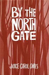 Cover of By the North Gate