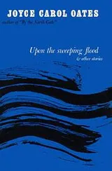 Cover of Upon the sweeping flood