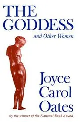 Cover of The goddess and other women