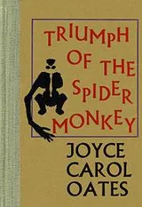 Cover of The triumph of the spider monkey