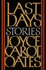 Cover of Last days
