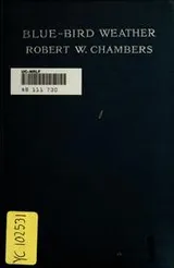 Cover of Blue-bird weather