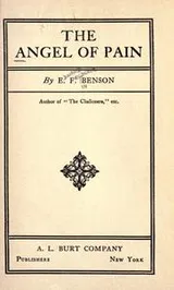 Cover of The angel of pain