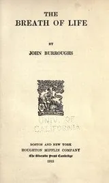 Cover of The breath of life