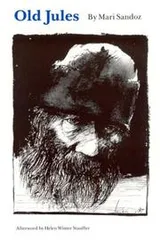 Cover of Old Jules