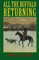 Cover of All the buffalo returning
