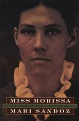 Cover of Miss Morissa, doctor of the gold trail