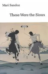 Cover of These were the Sioux