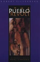 Cover of The Pueblo Revolt