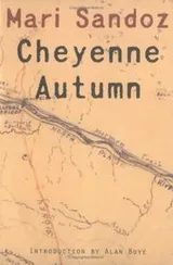 Cover of Cheyenne autumn