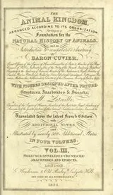 Cover of The animal kingdom
