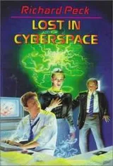 Cover of Lost in cyberspace