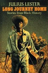 Cover of Long journey home