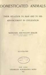 Cover of Domesticated animals