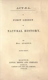 Cover of A first lesson in natural history